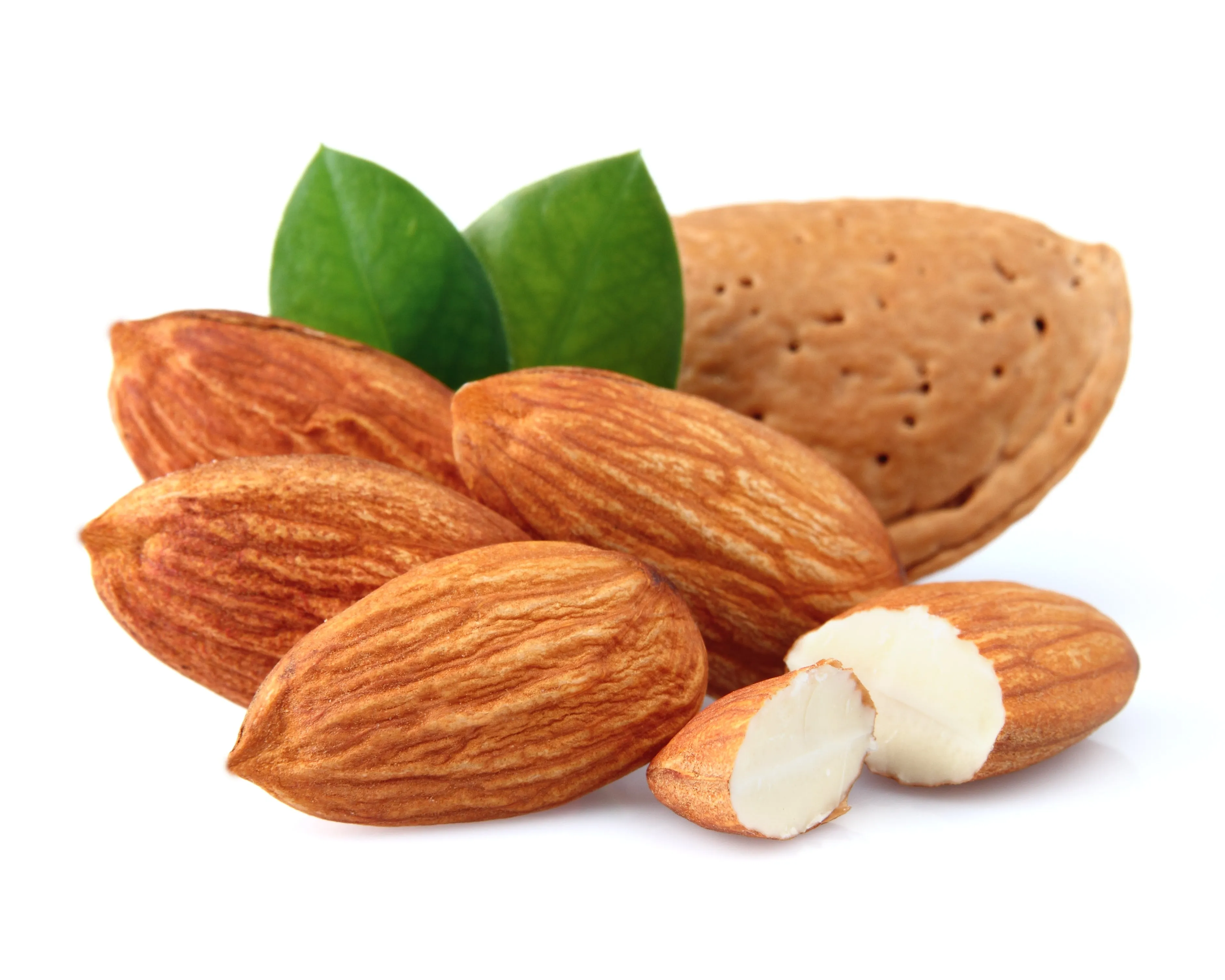The Scent Collection - Almond Alfresco